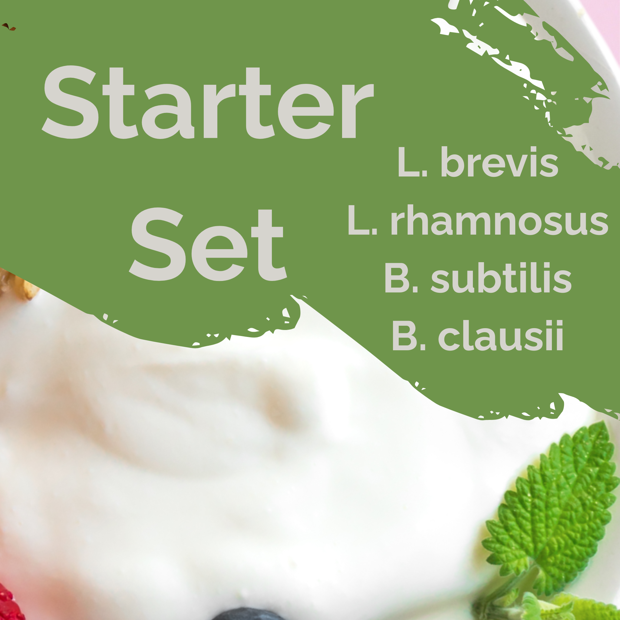 L. brevis + L. rhamnosus + B. subtilis + B. clausii | Yogurt Starter Set | Gut Protect | Starter Cultures | Pack of 3